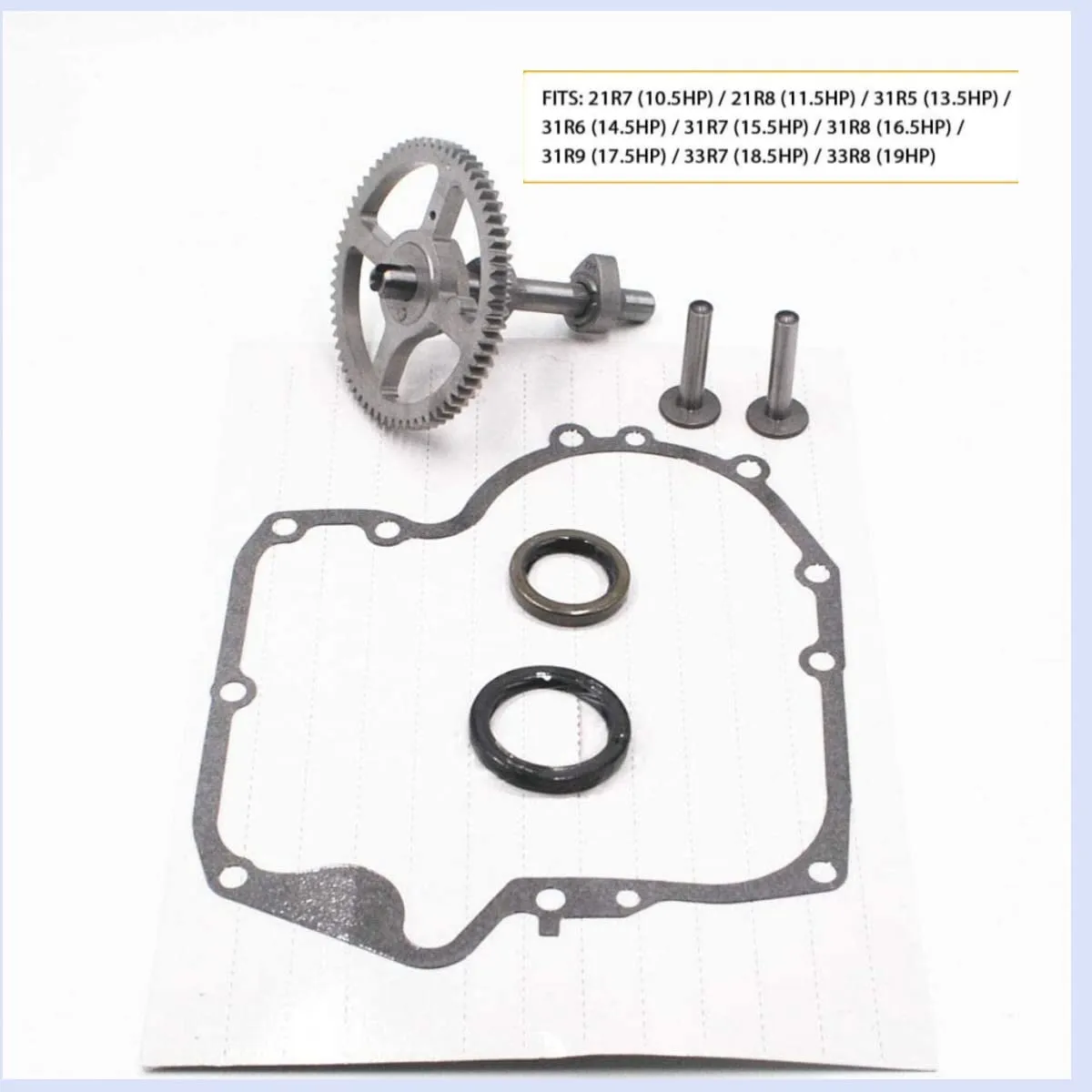 793880 84005207 Camshaft Replacement for Briggs & Stratton 793583 792681 791942 795102 Crankcase Camshaft Kit with 697110 Gasket 795387 Oil Seal 690564 Valve Tappet