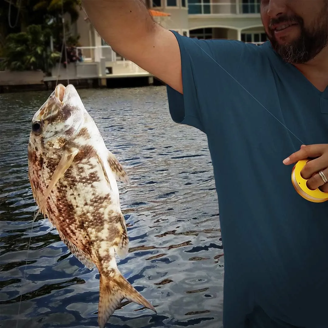 Aluminum Hand Line Reel Pocket/Travel Fishing Kit (20 lb Clear line)