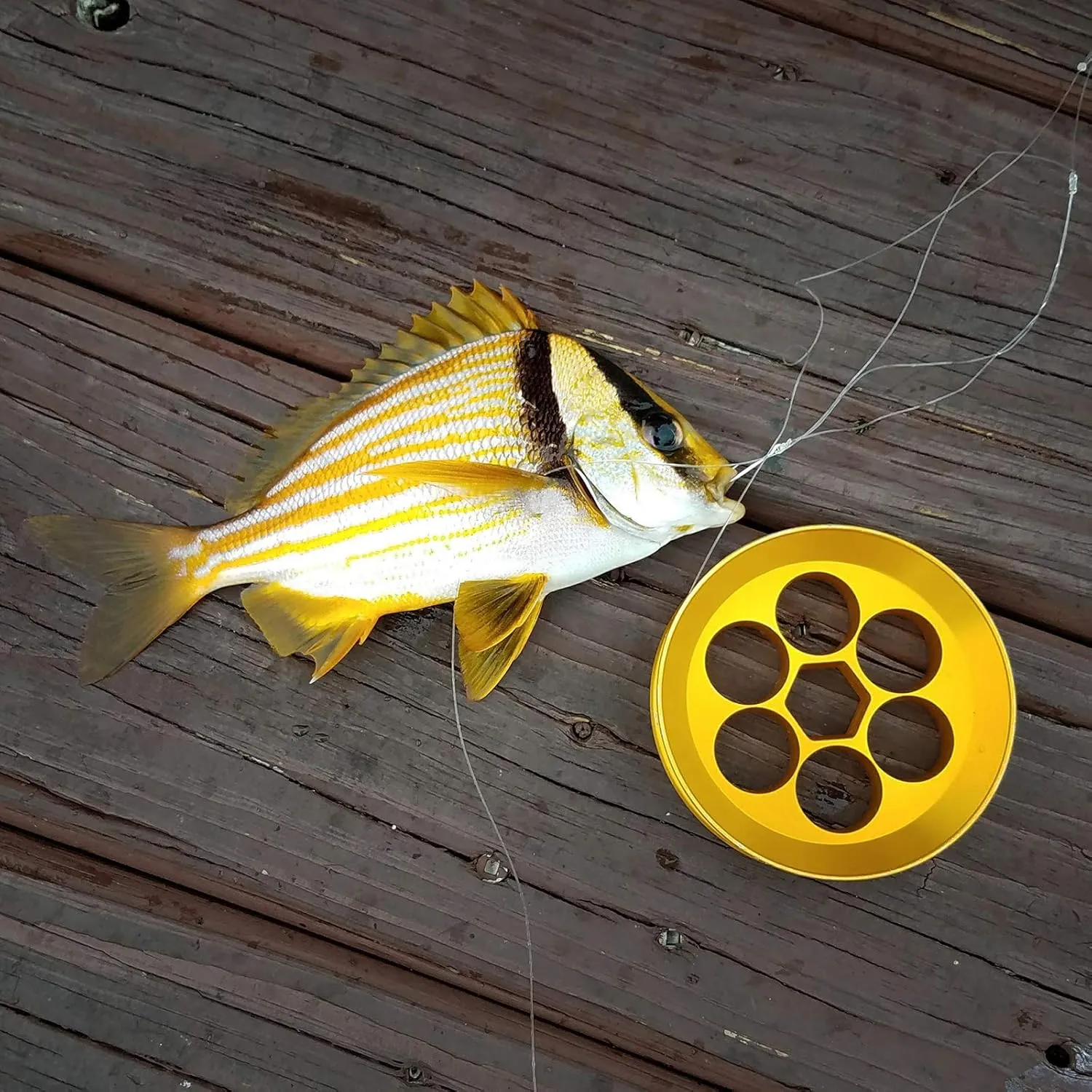 Aluminum Hand Line Reel Pocket/Travel Fishing Kit (20 lb Clear line)