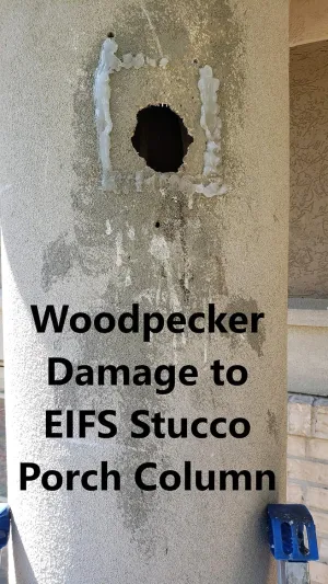 EIFS Stucco Woodpecker Damage Repair Kit