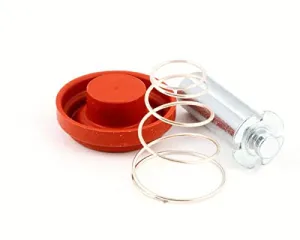 Fetco Valve Rebuild Kit, Dsv11