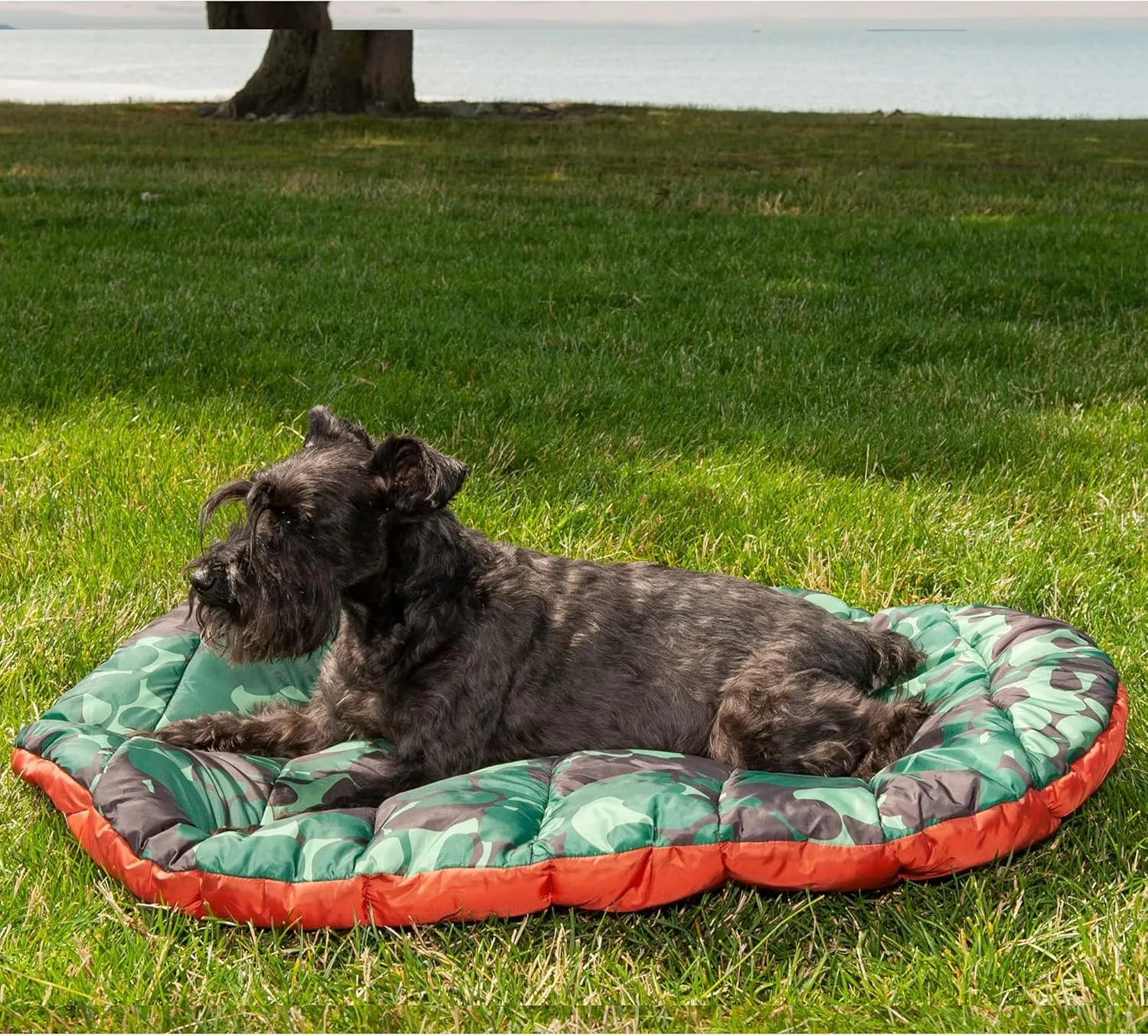 Furhaven Outdoor Travel Dog Bed for Small Dogs w/ Carry Bag, Washable & Foldable, Great for Crates & Kennels - Trail Pup Travel Pillow Mat w/ Stuff Sack Bag - Paprika/Camo-Paw, Small