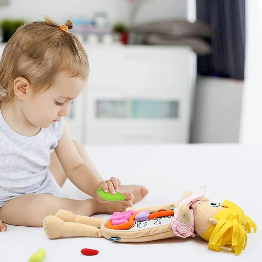 KAKIBLIN Human Body Model for Kids, Anatomy Toy, Human Body Organs, Preschool Educational Organ Plush Toys for Kids, Science Learning Kits, Body Organ Science Kits Sensory Toys for Boys Girls