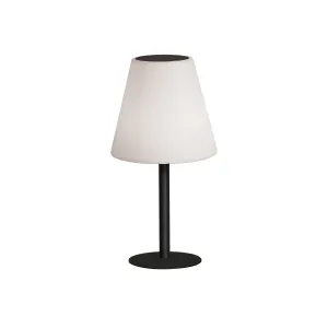 Lexi 45CM Solar LED Table Lamp