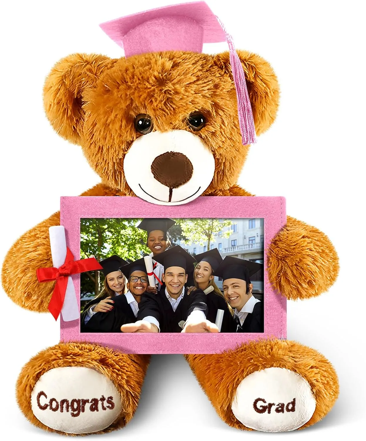 Leyndo Class of 2025 Graduation Plush Bear with Picture Frame Diploma Cap 9 Inch Congrats Grad Plush Stuffed Animal Bear Graduation Gifts for Preschool Kindergarten College Masters (Pink)