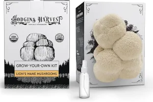 Lion's Mane Mushroom Grow Kit (4lbs) | USDA Certified Organic | Grow Your Own Delicious Gourmet Mushrooms at Home