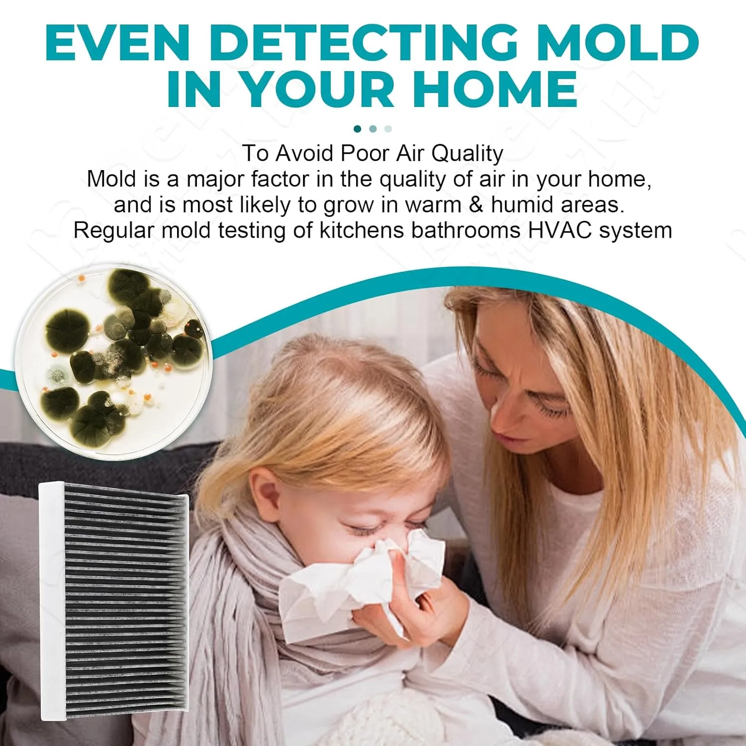 Mold Test Kit for Home: 6 Simple Mold Detector with Detailed Identification Guide for Home Surfaces & Indoor Air Quality & HVAC Testing Results in 48 Hours - at Home Black Mold Detection Kit