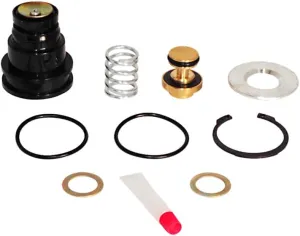 Mytee Products Purge Valve Rebuild Kit for System Saver 1200 and SS 1200 Plus Fit Replace Meritor R950014 R950014KTP 950014 UPTS18750, Mack 3918353, Haldex R955014