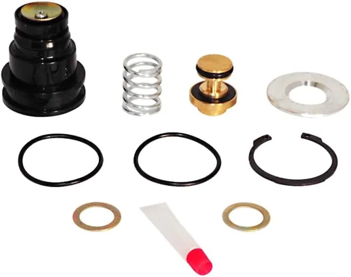 Mytee Products Purge Valve Rebuild Kit for System Saver 1200 and SS 1200 Plus Fit Replace Meritor R950014 R950014KTP 950014 UPTS18750, Mack 3918353, Haldex R955014