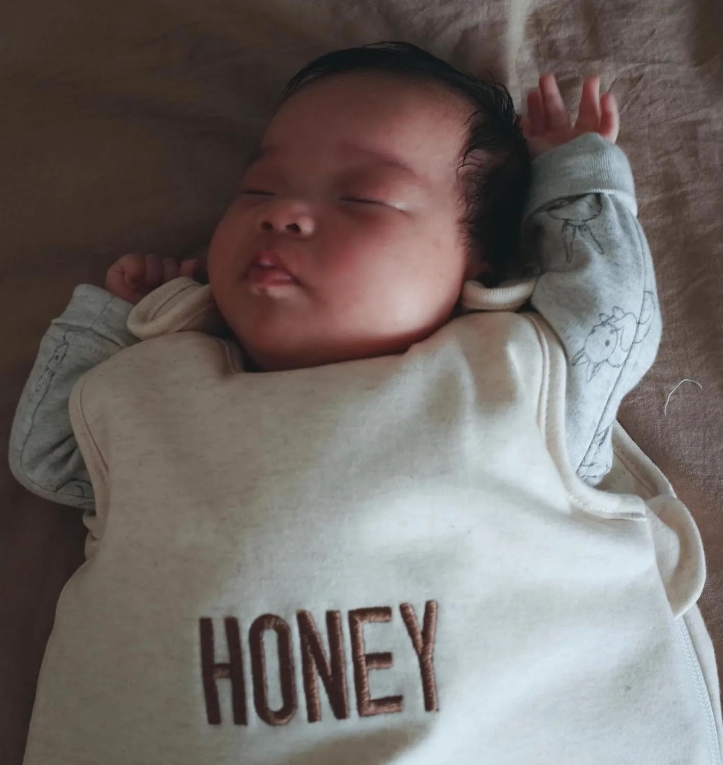 Owlivia Baby Sleep Sack, 100% Organic Cotton Toddler Sleeping Bag, TOG 2.5 Unisex Wearable Blanket For Winter (18-36 Months, Brown Bear)