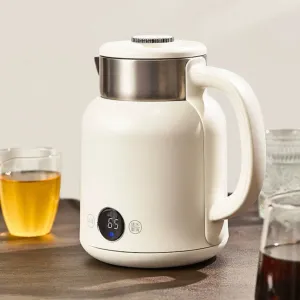 Pure Titanium Smart Electric Kettle