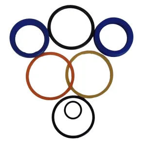 RAParts R910915885 New Seal Kit Fits Rexroth 31 GPM for Series 30 & 31 A10V(S)0