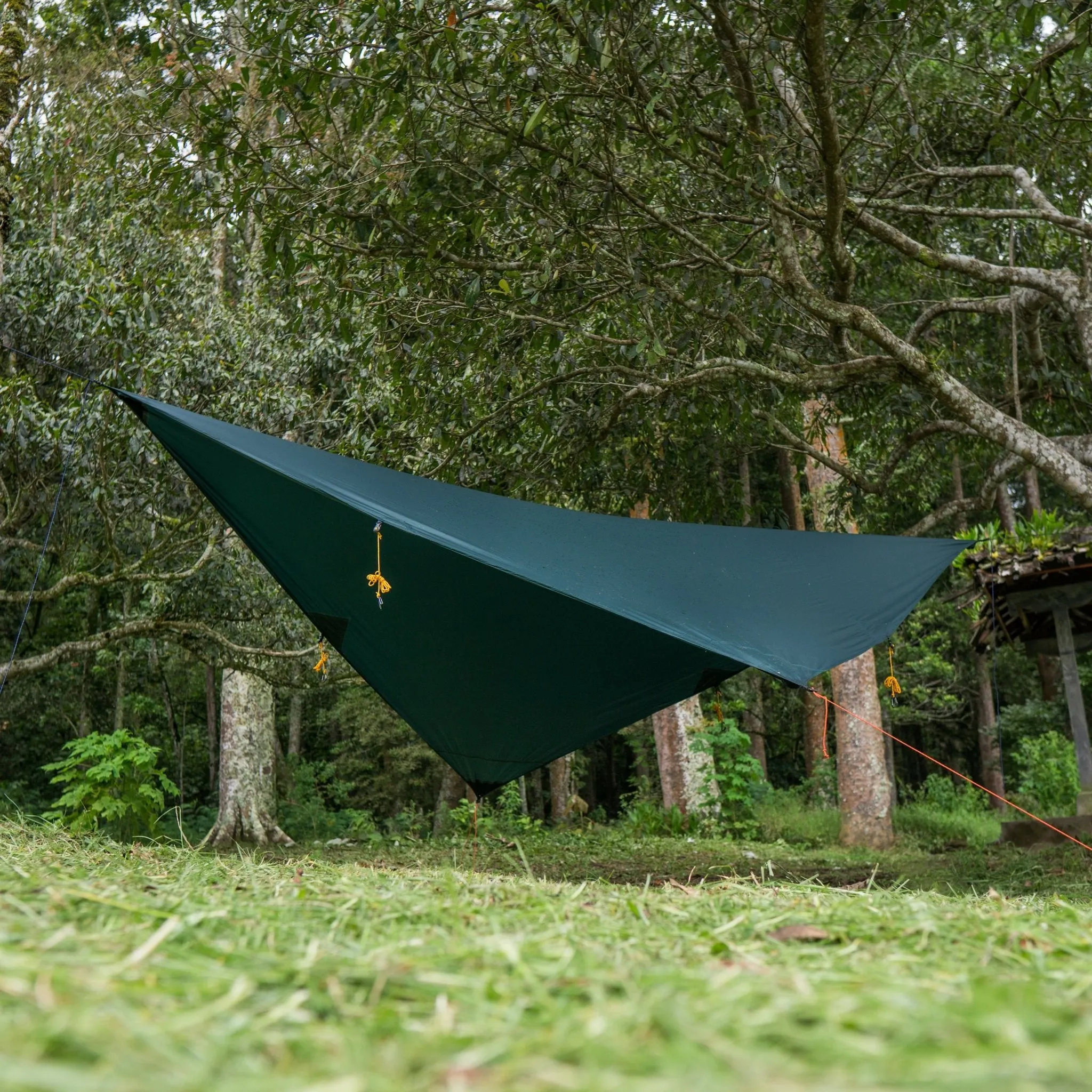 Ticket To The Moon Moon Tarp