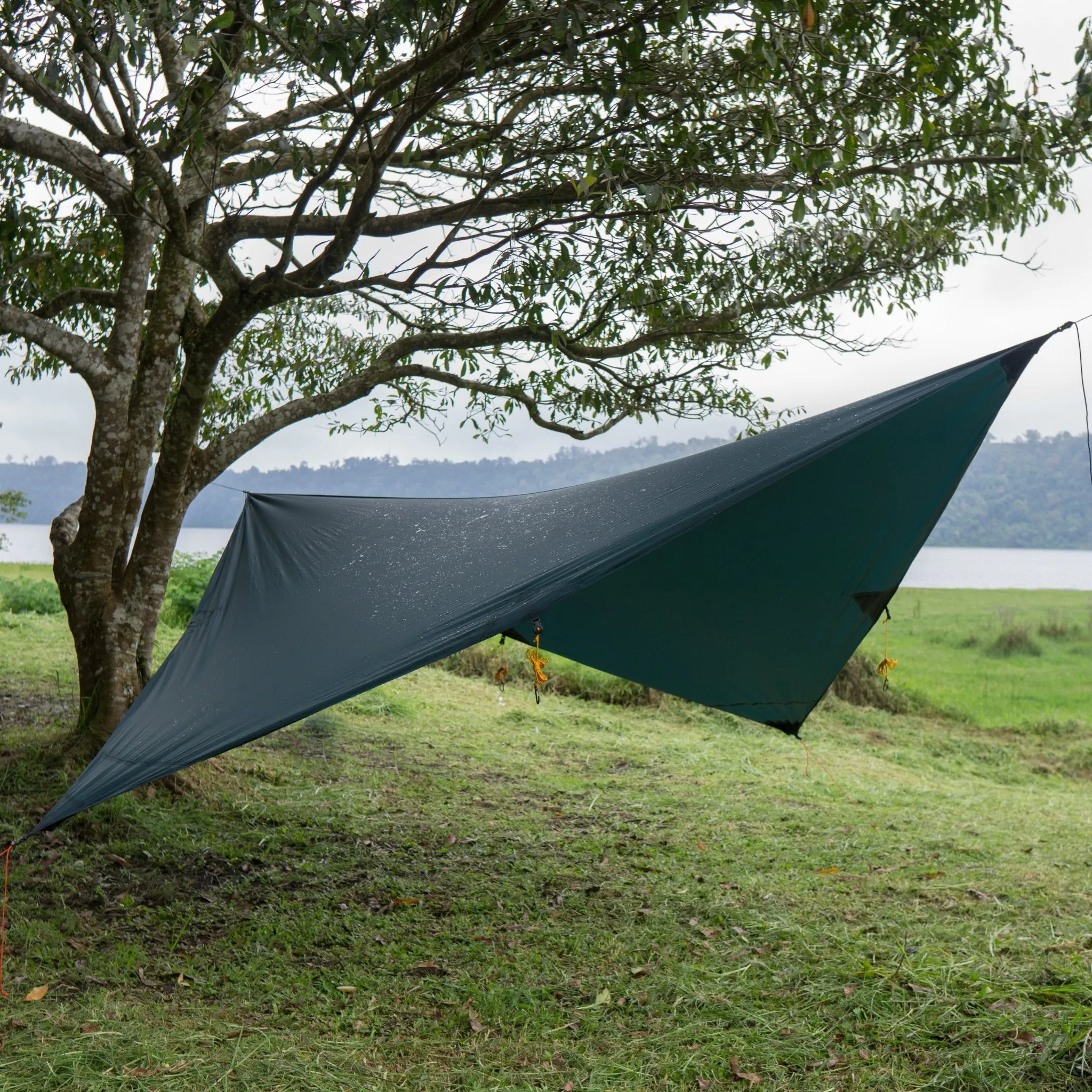 Ticket To The Moon Moon Tarp