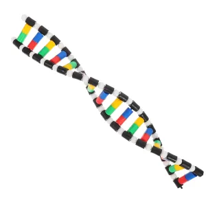 Zerodeko DNA Model Structure Kit Base Double Helix Model for Science Education Teaching Aid for Classroom Use User-Friendly Design for Students and Teachers