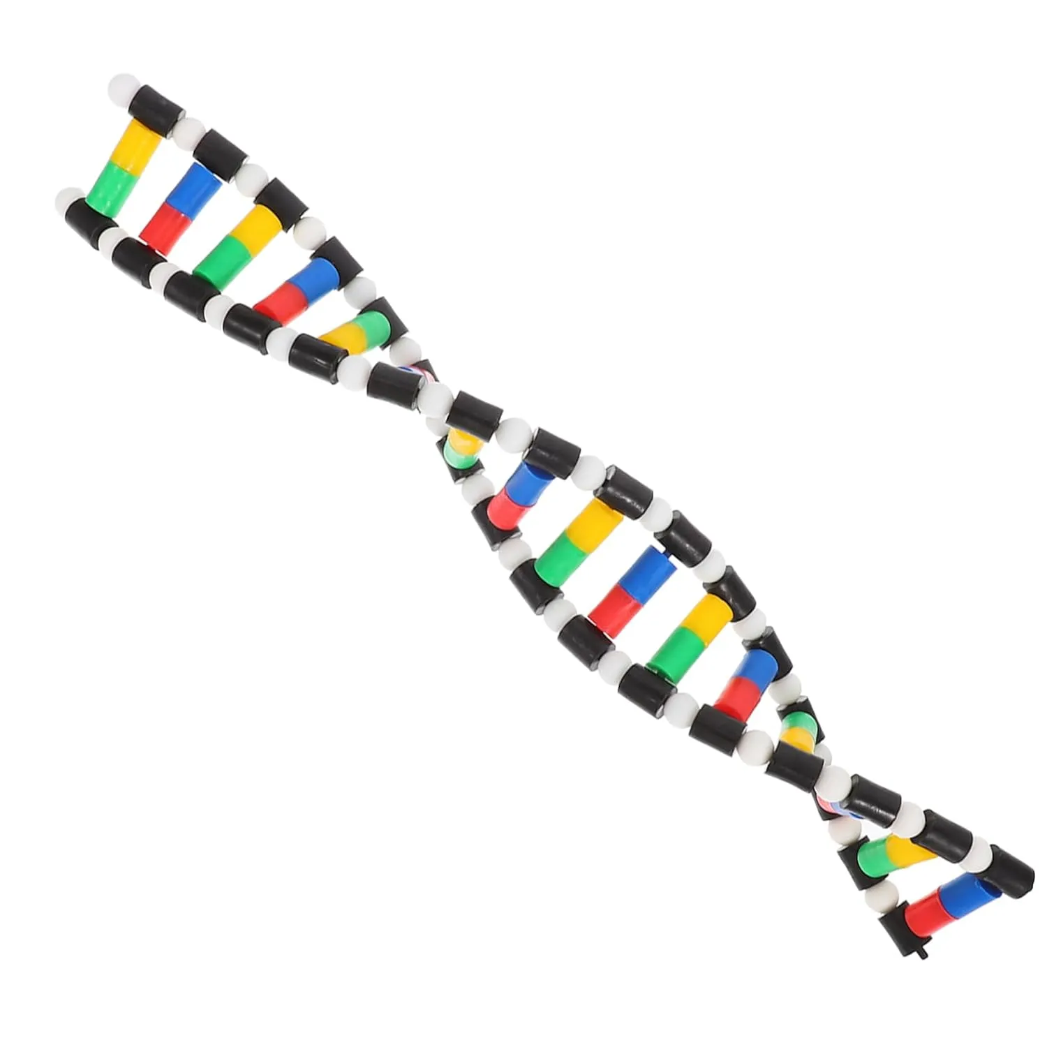 Zerodeko DNA Model Structure Kit Base Double Helix Model for Science Education Teaching Aid for Classroom Use User-Friendly Design for Students and Teachers